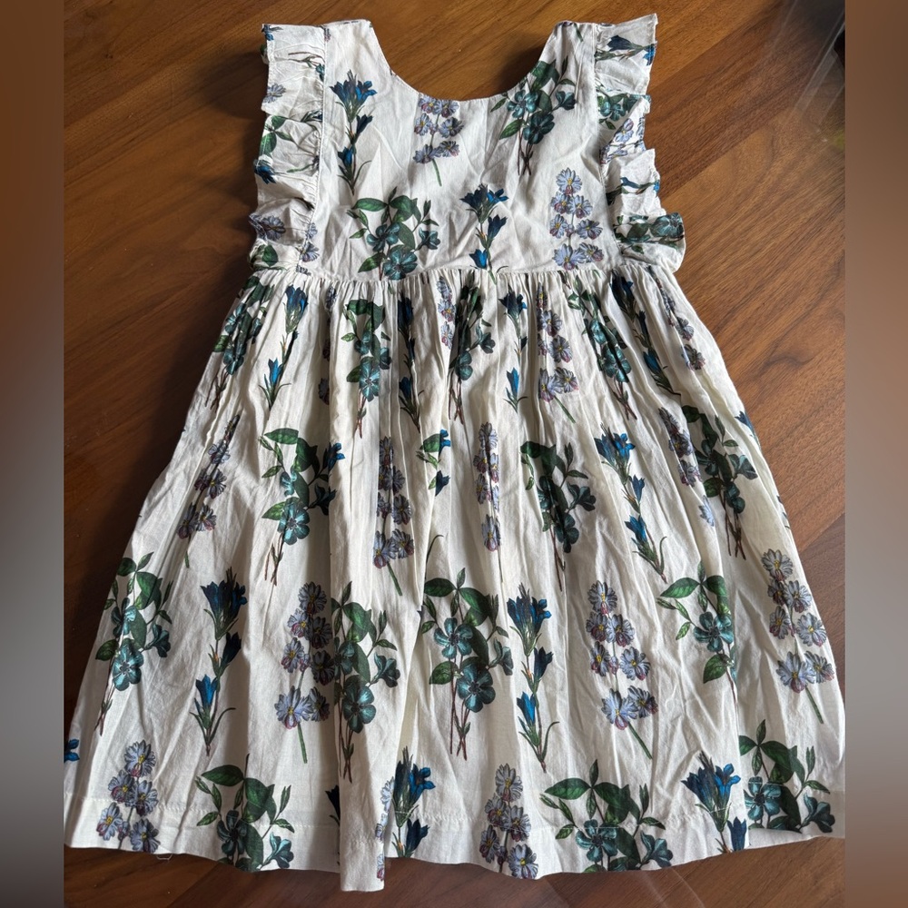 Pink Chicken Girls Marceline Dress Blue Botanical 5Y NWT